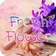程序图标：Fresh Flower Font for Fli…