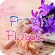 Fresh Flower Font for FlipFont