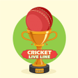 Cricket Live Score App IPL2022