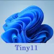 Symbol des Programms: Tiny11