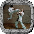 Icon of program: Karate Training - Techniq…