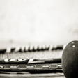 程序图标：Squash MatchStats Scorer …