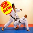 プログラムのアイコン：Shotokan Karate