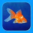 أيقونة البرنامج: Goldfish - Aquarium Fish …