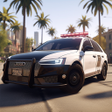 程序图标：US Police Car Chase Simul…