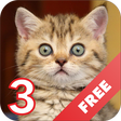 程序图标：Cats sounds - evil angry …