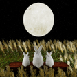程序图标：Escape Game Edo Harvest M…