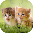 Icon of program: Dogs Cats Puzzles for ki…