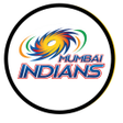 程序图标：MI IPL20 Attitude Status …