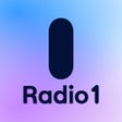 程序图标：VRT Radio 1