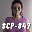 Programın simgesi: SCP-847