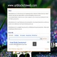 Icon of program: Unblock a web site