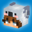 プログラムのアイコン：Aesthetic Boys Skins for …