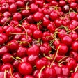 Icône du programme : Fruit Wallpapers