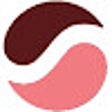 Icono de programa: 网站SEO分析工具
