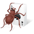 Icon of program: Free Spider Solitaire 202…