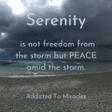 プログラムのアイコン：Serenity Amidst Storms