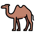 Icoon van programma: Camel Calculator