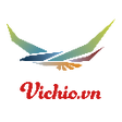 Icon of program: Hoado.vn