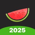Ícone do programa: Melon VPN - Easy Fast VPN