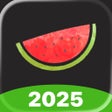 Icoon van programma: Melon VPN - Easy Fast VPN