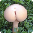Icon of program: Корпорация Юмора ツ
