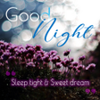 ไอคอนของโปรแกรม: Good Night
