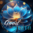 Icon of program: Good Night