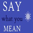 Icon of program: Say What you Mean