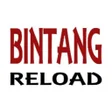 程序图标：BINTANG RELOAD