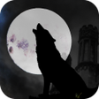 程序图标：Online Werewolf X