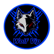 Ícone do programa: MH VIP VPN