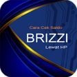 Brizzi - BRI Cara Cek Saldo