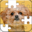 プログラムのアイコン：Jigsaw Puzzles Classic Ga…