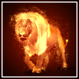 プログラムのアイコン：Fire Lion Wallpaper