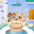 Icoon van programma: Pet Daycare