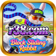 Icoon van programma: r38.comBlock Sliding Rabb…