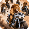 程序图标：Lion Racing - Moto Advent…