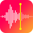 Ikona programu: Voice Recorder: Audio Rec…