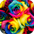 Иконка программы: Colorful Wallpaper 2023