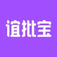 プログラムのアイコン：谊批宝