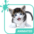 Meow Animated Keyboard  Live