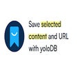 Icon of program: Save highlighted text fro…