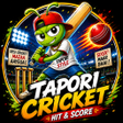 Ikon program: Tapori Cricket : Hit  Sco…