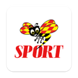 程序图标：SportExpressen