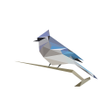 プログラムのアイコン：BirdNET