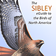 Icon of program: The Sibley eGuide to Bird…