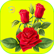 Icon of program: Flowers And Roses Animate…