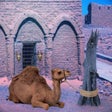 プログラムのアイコン：Escape Game Desert Camel