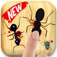 Ant Killer Insect Crush